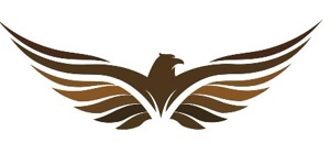 Smart Falco Accessories (Kiosk)