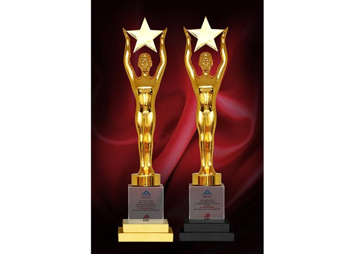 2016 MECSC/ICSC Mena Gold Award new media excellence emerging technology