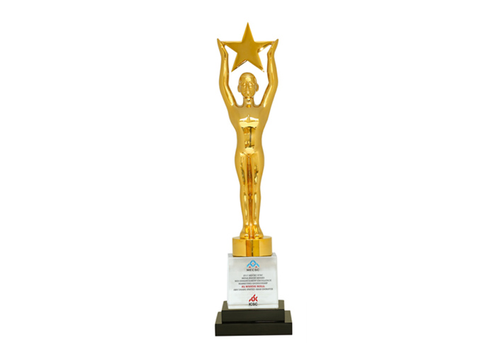 2017 MECSC/ICSC Mena Silver Award NOI Enhancement Excellence Marketing SponserShip